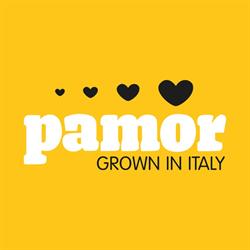 Pamor Srl