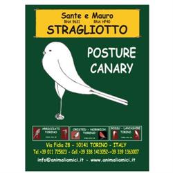 Animali Amici di Stragliotto - Negozio di Animali e Allevamento Volatili