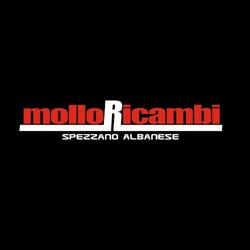 molloricambi srl