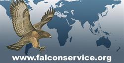 Falcon Service & Security Management Group S.r.l Investigazioni e Sicurezza