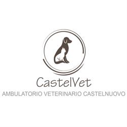 CastelVet
