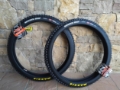 copertoni maxxis dh casing
