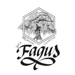 Il Fagus