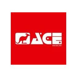 Ace Immobiliare