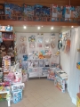 DarSaGiocattoli Interno