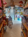DarSaGiocattoli Interno