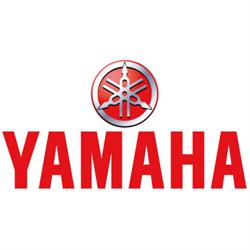 Vigna Motor Concessionario Yamaha Alba