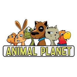 Animali Planet di Crescenzo Palumbo