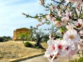 Agrigento