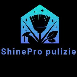 ShinePro pulizie di Ivanna Tahiyeva