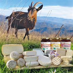 Pilan e Cereseto Società agricola