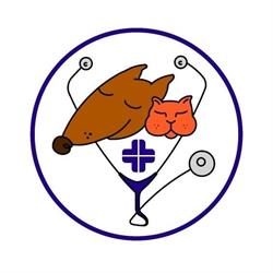 Ambulatorio Centro Veterinario Il Castellare