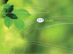 Gi-Esse Salvador S.r.l.
