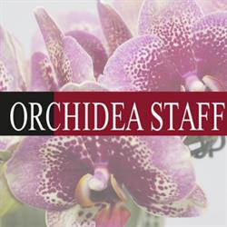 Orchidea Staff S.r.l.