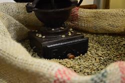 Caffè,Cialde e Capsule Moka Italia