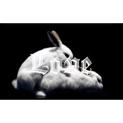 Erotic Store - Il Delta di Venere