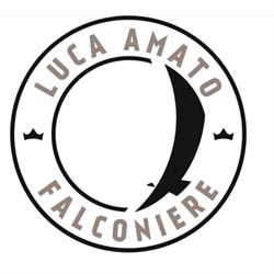 Luca Amato Falconiere