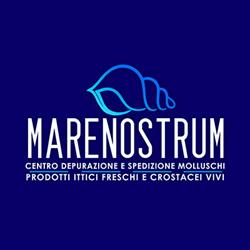 Ittica Marenostrum