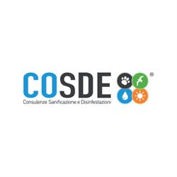 Cosde S.r.l.