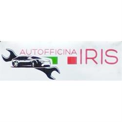 Auto Iris