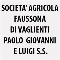 Società Agricola Faussona di Vaglienti