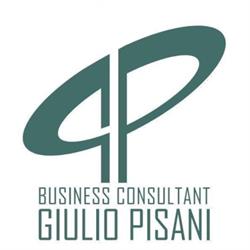 Giulio Pisani Business Consultant