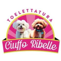 Ciuffo Ribelle Toelettatura per Cani