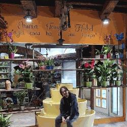 Agraria Hobby Verde