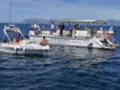 Tour in catamarano