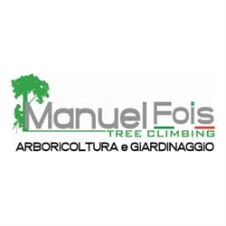 Manuel Fois