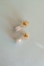 Duchessa Earrings