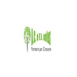 Acefi