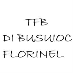 Tfb