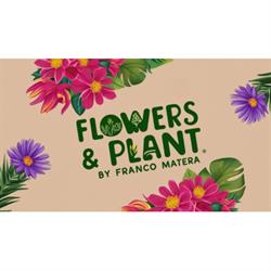 Flowers & Plants