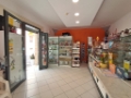 interno 2
