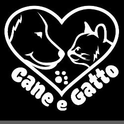 Cane e Gatto