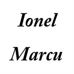 Ionel Marcu