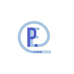 P.E