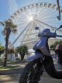 rent scooter alghero