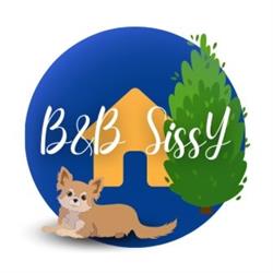 B&B Sissy
