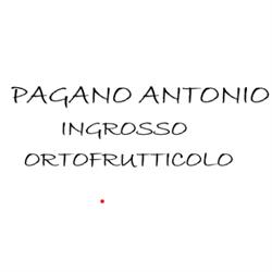 Pagano Antonio Ingrosso Ortofrutticolo
