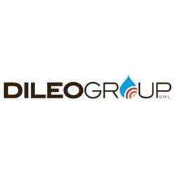 Dileo Group