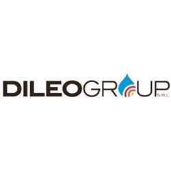 Dileo Group