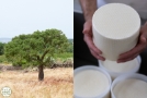 Caseificio produzione formaggio sardo Caseifitziu Agriculu Mandrolisai