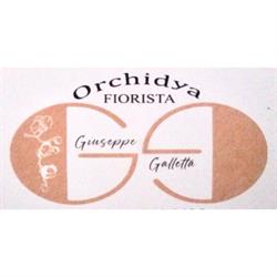 Fiorista Orchidya
