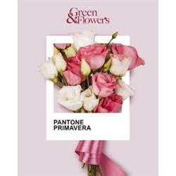 Green  & Flower's - Sabbadini