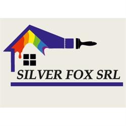 Silver Fox Imbiancature