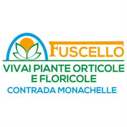Vivai Piante Orticole Antonio Fuscello