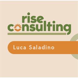Rise Consulting Luca Saladino