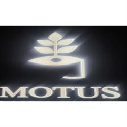 Motus Food Comfort